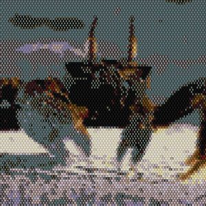 Digital Product: Beading Pattern – Crab