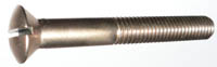Slotted Oval Head Silicon Bronze Strut Bolts