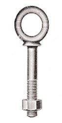 Davey & Company Galvanized Eyebolts and Screws