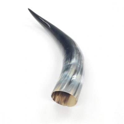 14 1/2" STEER Horns Cow Bull Long Horn TAXIDERMY Polished High Gloss Black and Off White-24e DE-71530 (85 D3A)