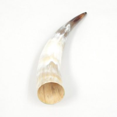 13" STEER Horns Cow Bull Long Horn TAXIDERMY Polished High Gloss Off White, Grey and Brown-13e DE-71720 (85 D3A)