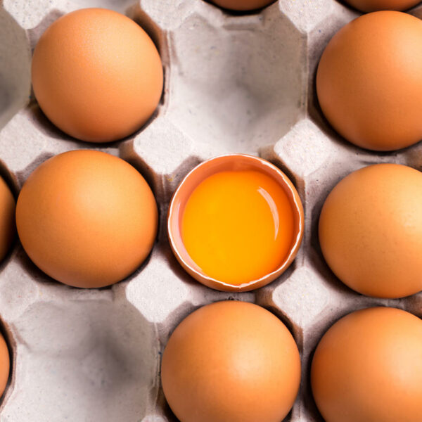 Farmers market quality, pastured, nonGMO, organicfed, humane